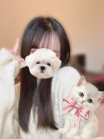 Aroma Joli - 月雪桃花の写メ日記画像