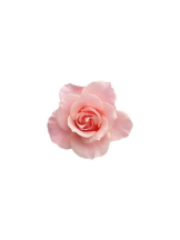 Aroma Joli - 高部なおの写メ日記画像