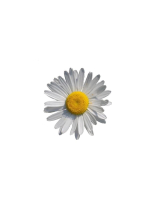 Aroma Joli - 高部なおの写メ日記画像