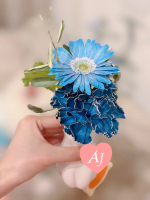 Aroma Jewels 新宿 秋葉原 五反田 新橋 - 小林 あいの写メ日記画像