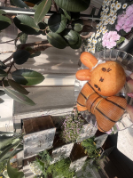 Aroma Joli - 水城あかねの写メ日記画像