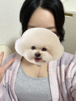 Aroma Joli - 入野りのの写メ日記画像