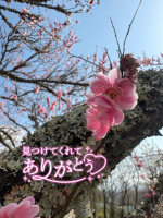 Aroma Joli - 松戸ぺんの写メ日記画像