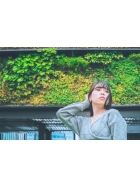 写真2