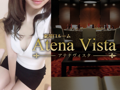 Atena Vista 東川口ルーム