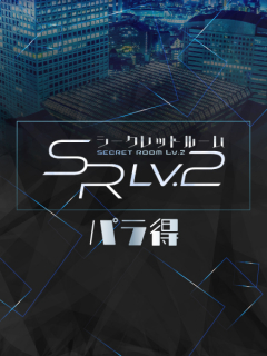 secret room Lv2 パラ得