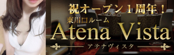 Atena Vista 東川口ルーム